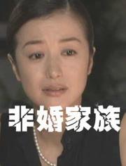 非婚家族在线观看,揭秘现代情感纠葛的在线观影指南  第2张
