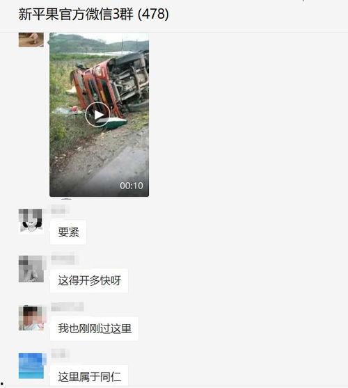 新平果网站爆料视频,揭秘视频背后的惊人真相 第3张 新平果网站爆料视频,揭秘视频背后的惊人真相 第3张