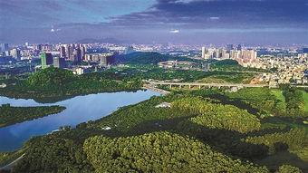 深圳光明新区最新爆料,揭秘发展新动向与未来蓝图 第2张 深圳光明新区最新爆料,揭秘发展新动向与未来蓝图 第2张